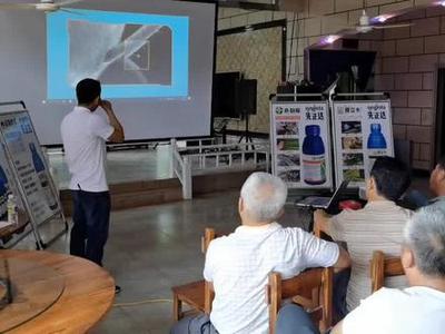 先正達(dá)大偉哥